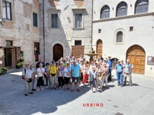 50-Urbino-1